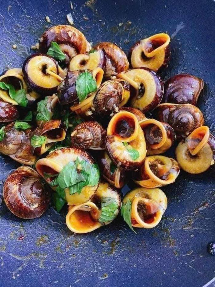 Ốc xu núi Bà Tây Ninh 