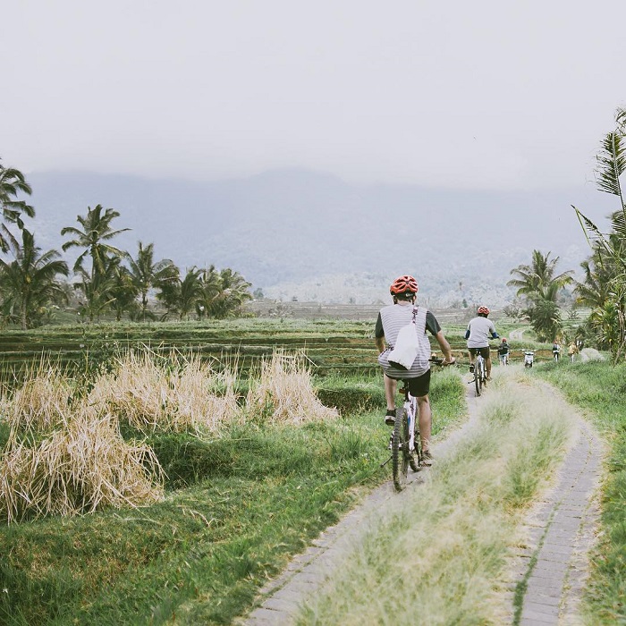 Các tour du lịch bằng xe đạp là điều nên làm tại ruộng bậc thang Jatiluwih Bali