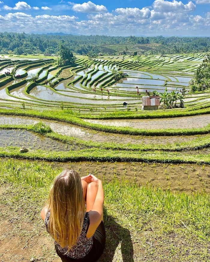 Ngắm bình minh là điều nên làm tại ruộng bậc thang Jatiluwih Bali