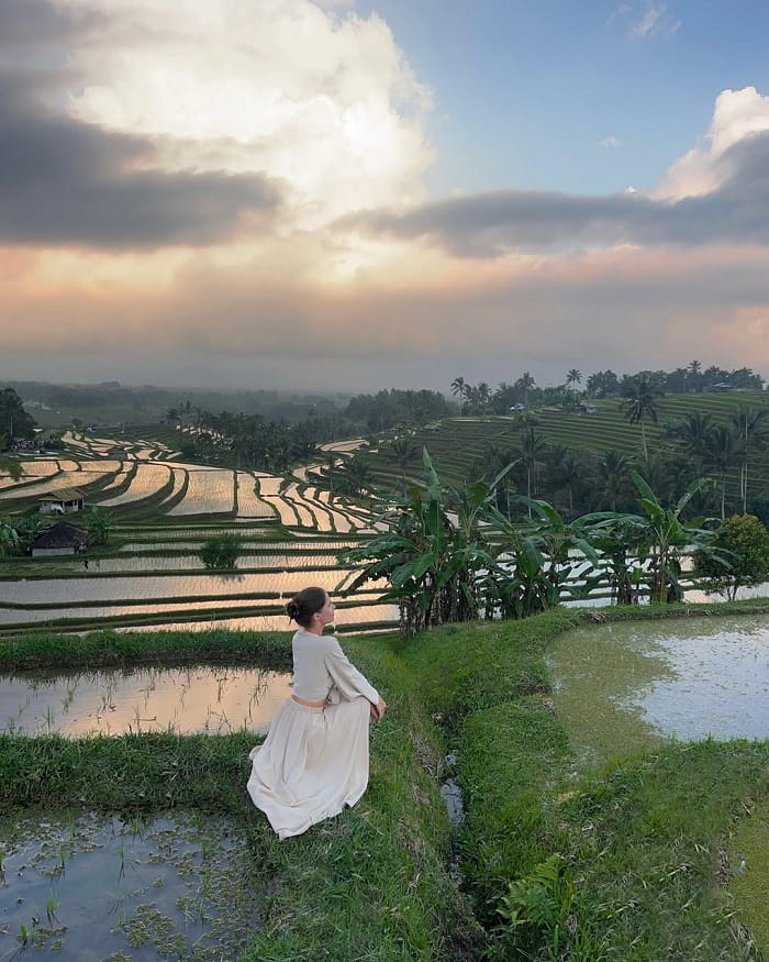 Chiêm ngưỡng ruộng bậc thang Jatiluwih Bali 