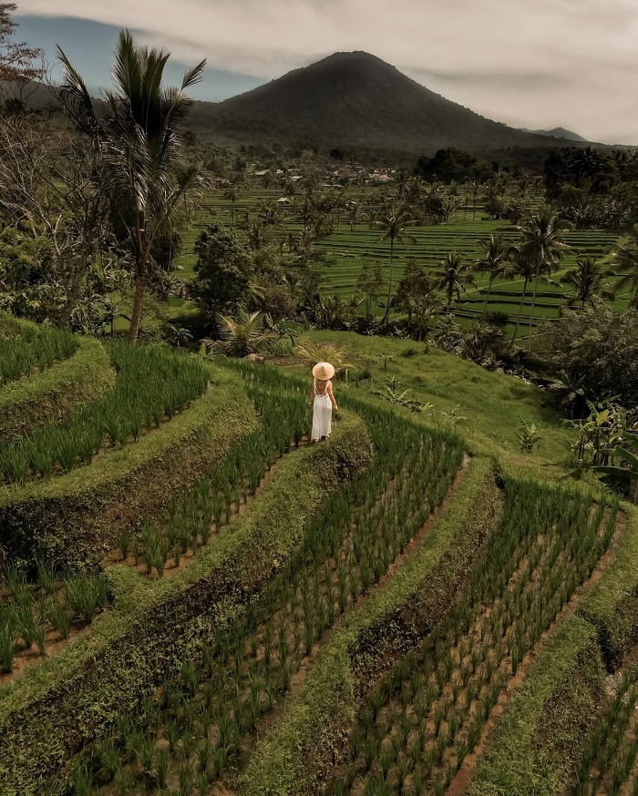 Chiêm ngưỡng ruộng bậc thang Jatiluwih Bali 