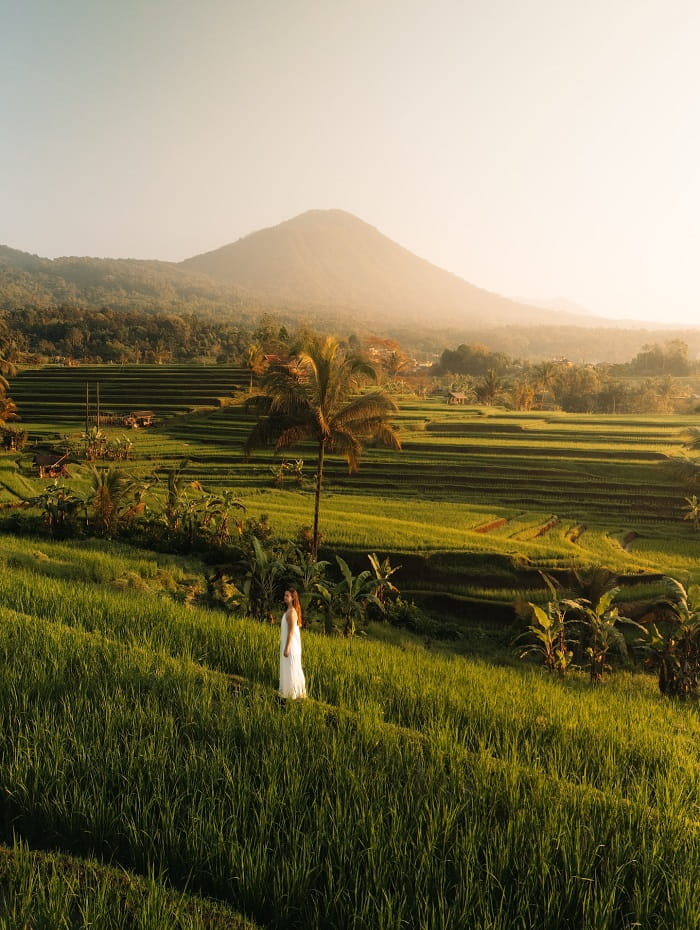khám phá ruộng lúa là điều nên làm tại ruộng bậc thang Jatiluwih Bali