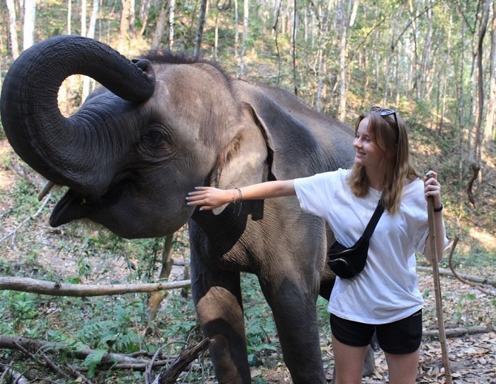 Trại voi Into the Wild là một trong các khu bảo tồn voi ở Chiang Mai