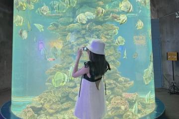 Khám phá các thuỷ cung ở Nha Trang siêu HOT để làm mới New feed