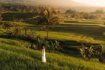 Ruộng bậc thang Jatiluwih - Di sản thế giới giữa lòng thiên nhiên Bali hùng vĩ!