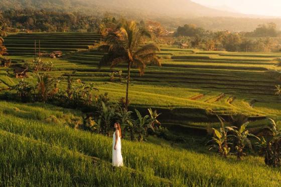 Ruộng bậc thang Jatiluwih - Di sản thế giới giữa lòng thiên nhiên Bali hùng vĩ!
