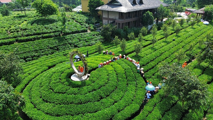 Tiến Yên Farmstay Thái Nguyên ở đâu? 