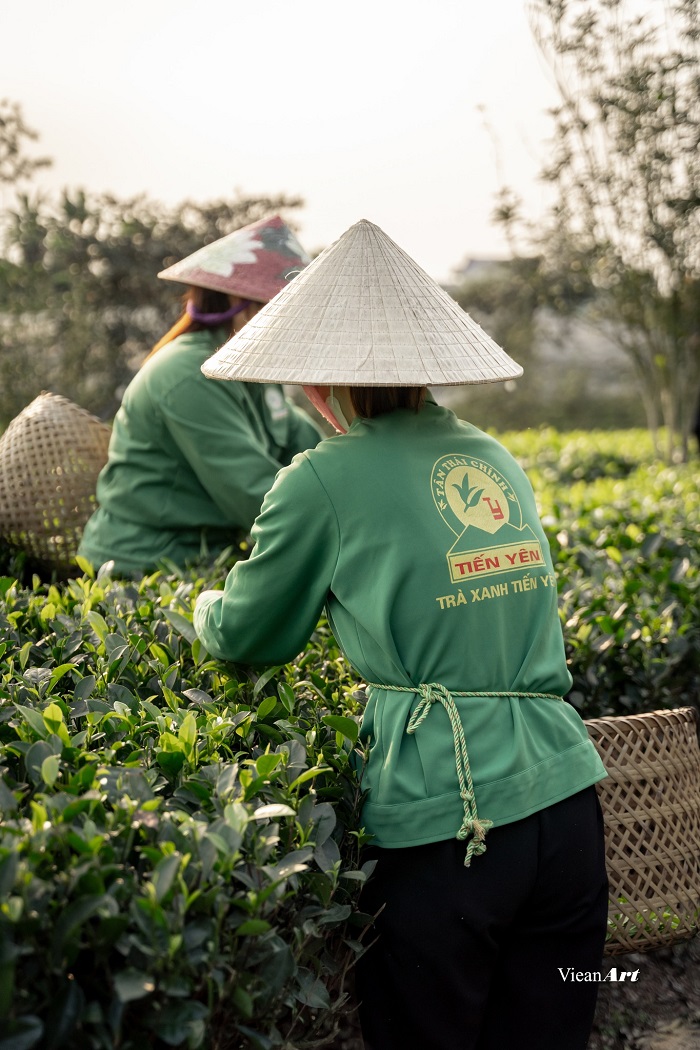 Kinh nghiệm khám phá Tiến Yên Farmstay Thái Nguyên 