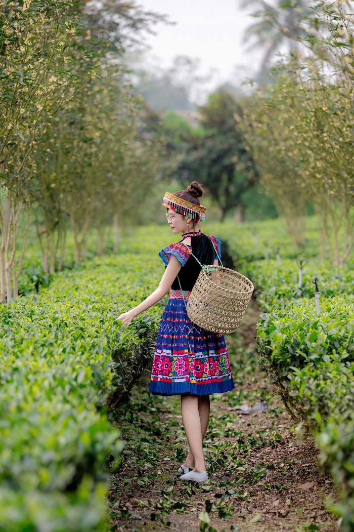 Kinh nghiệm khám phá Tiến Yên Farmstay Thái Nguyên 