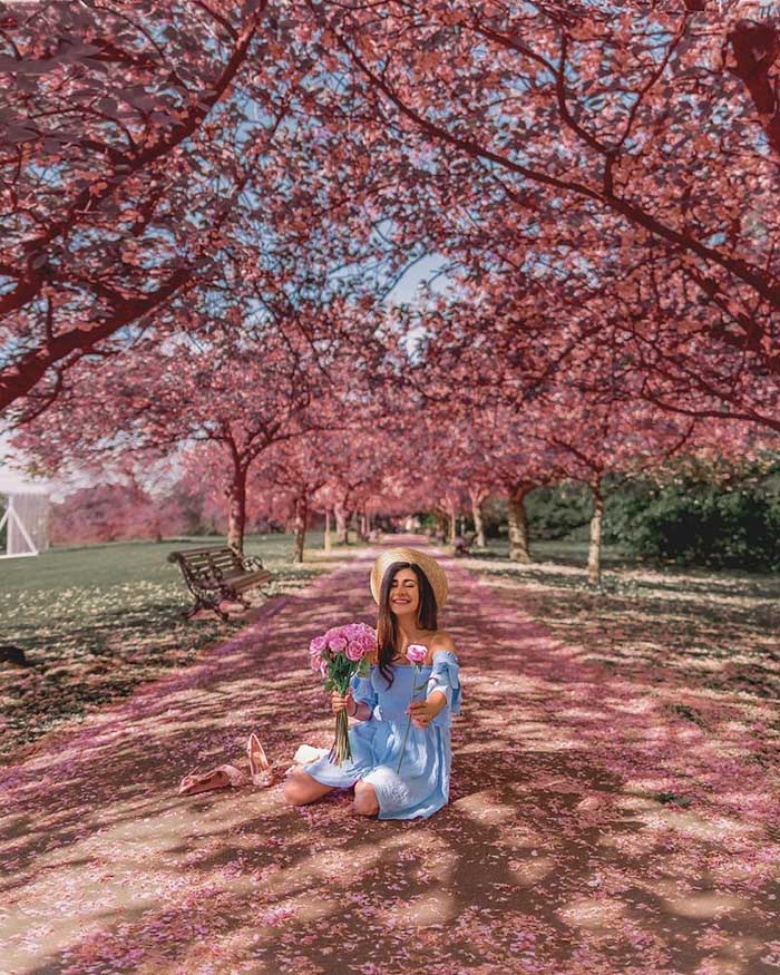 Greenwich_-_cong_vien_tuyYt_YYp_co_YYYng_kinh_tuyYn_gYc_Yi_ngang