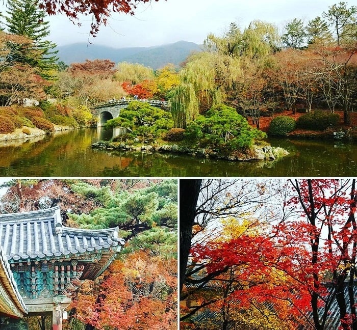 Gyeongju có gì hay? 5 điểm đến thú vị nhất tại Gyeongju Hàn Quốc 