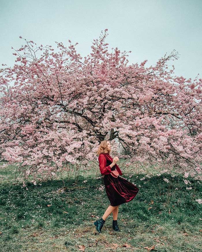 Hyde_Park_-_Cong_vien_Hoang_gia_lYn_nhYt_Y_London