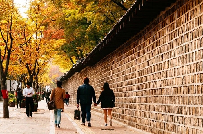 ‘Up date’ ngay những địa điểm đẹp ở Seoul chỉ nhìn đã muốn đi và khám phá
