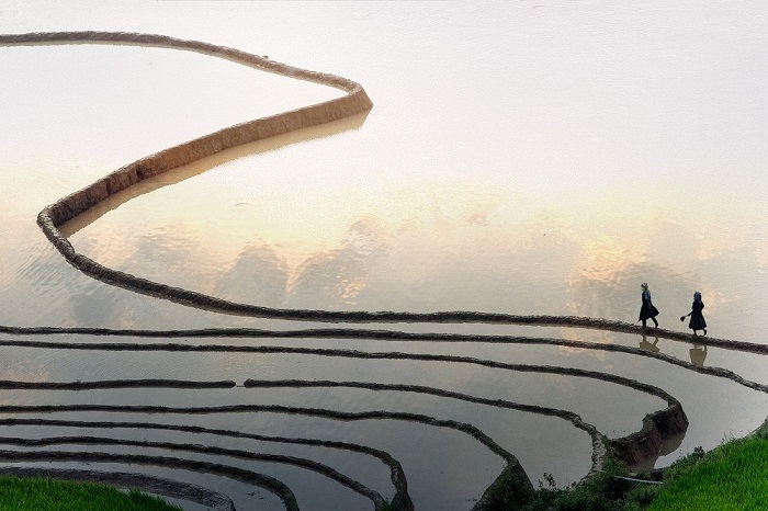 Experience to go to Mu Cang Chai in the season of pouring water
