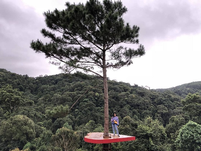 the newest tourist attractions in Da Lat 2019 