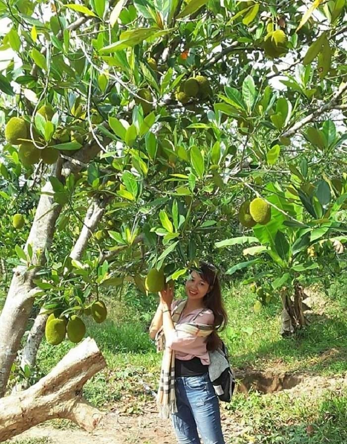 'Điểm danh' những vườn trái cây gần Sài Gòn nổi tiếng nhất (Phần 2) 