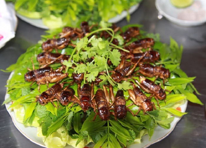 Fried rice cricket with Dong Nai specialty fish sauce