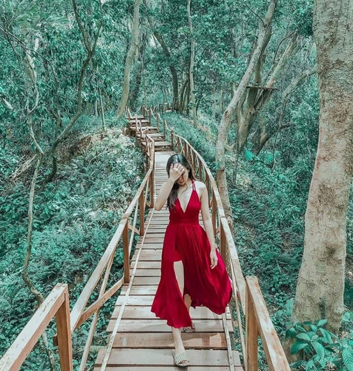 'Bung xõa hết nấc' tại công viên Ozo Treetop Quảng Bình