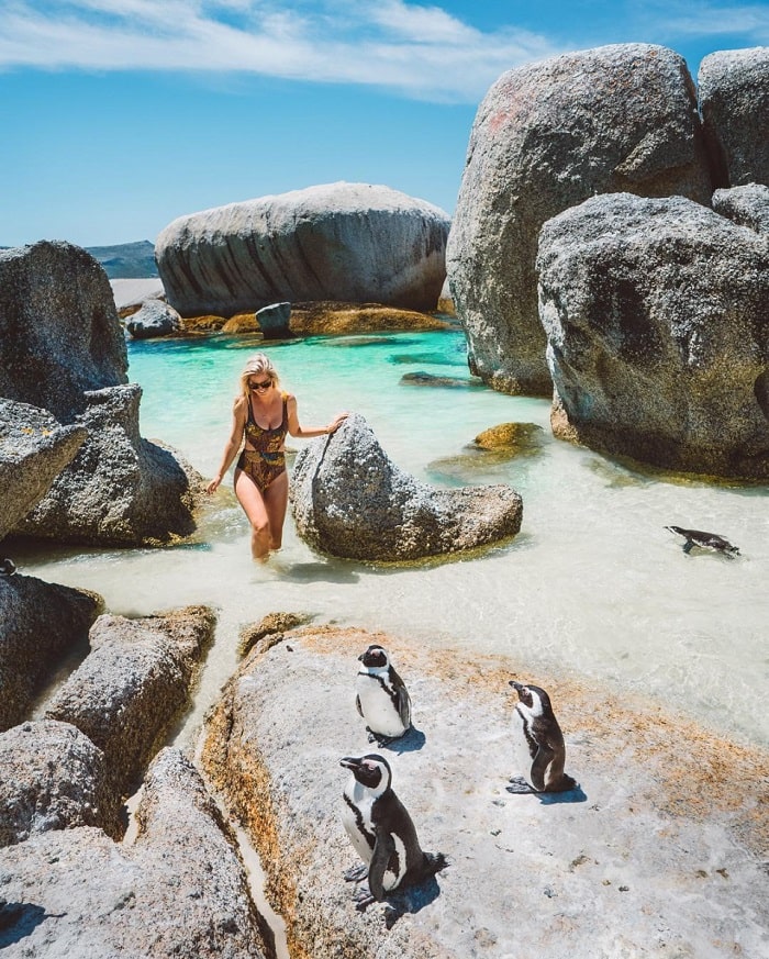 Bãi biển Boulders Nam Phi – thiên đường của những chú chim cánh cụt đáng yêu 