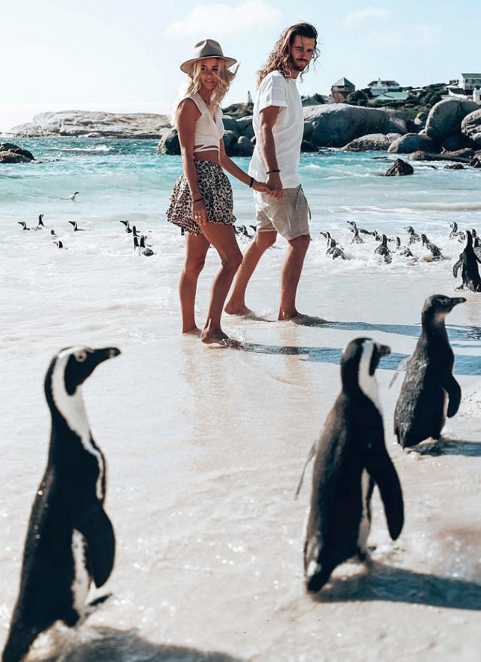 Bãi biển Boulders Nam Phi – thiên đường của những chú chim cánh cụt đáng yêu 
