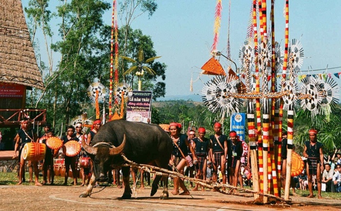 List of traditional festivals in Phu Yen