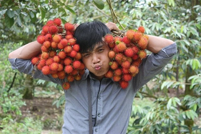 Quickly check in Vinh Kim fruit garden