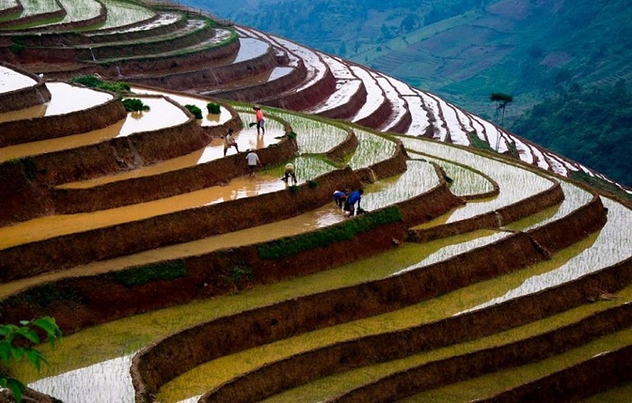 Định vị những tọa độ ngắm ruộng bậc thang mùa nước đổ đẹp nhất Việt Nam 