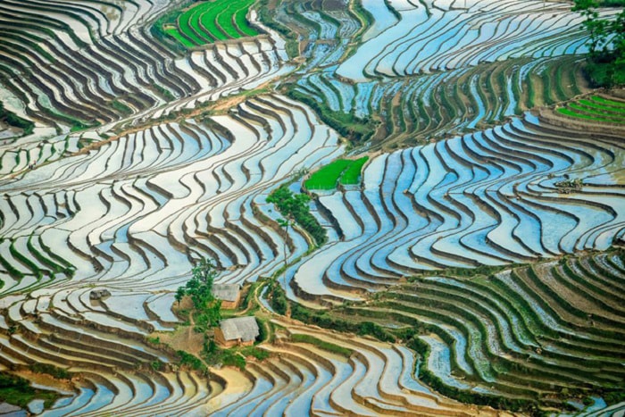 Định vị những tọa độ ngắm ruộng bậc thang mùa nước đổ đẹp nhất Việt Nam 