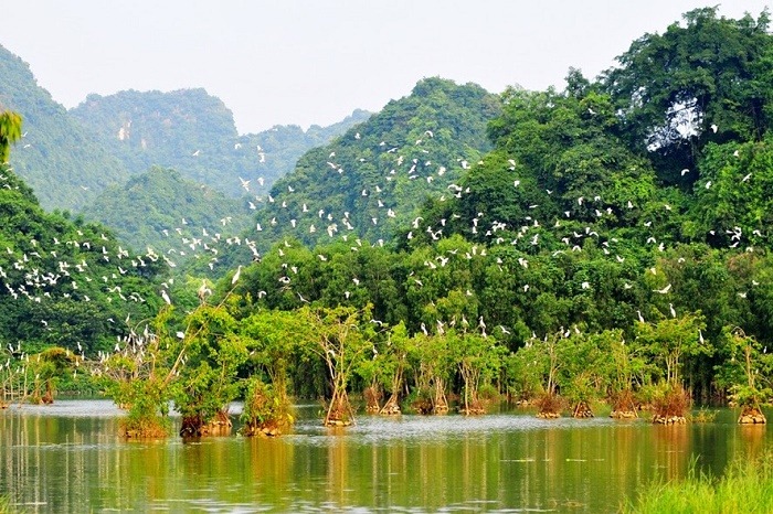 Tất tần tật kinh nghiệm tham quan khu du lịch vườn chim Thung Nham