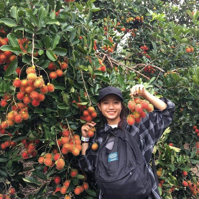 Quickly check in Vinh Kim fruit garden