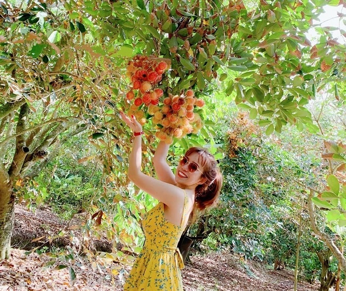 'Điểm danh' những vườn trái cây gần Sài Gòn nổi tiếng nhất (Phần 2) 
