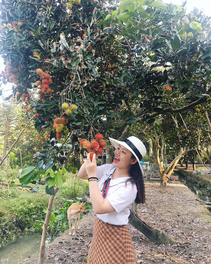 Long Khanh Dong Nai orchard