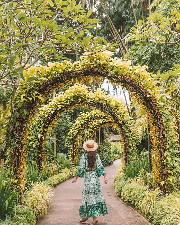 Vườn bách thảo Singapore - Vườn bách thảo đẹp nhất thế giới
