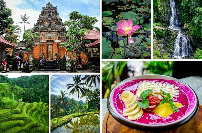 UBud ở Bali - đảo du lịch ở Indonesia
