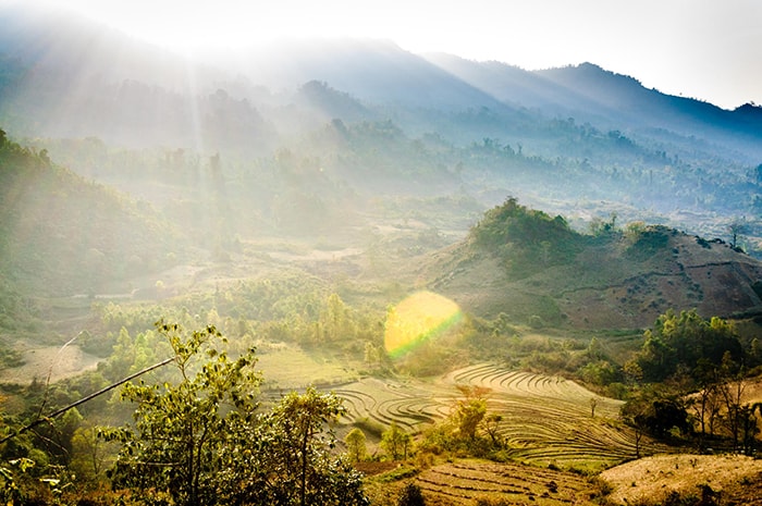 Explore Sin Ho plateau in the ripe rice season