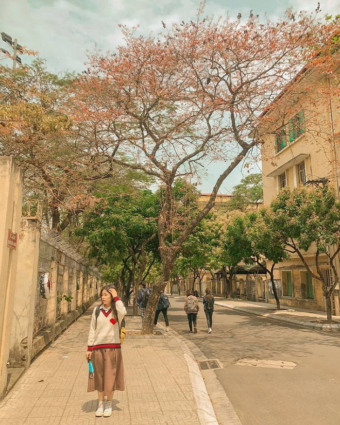 Hanoi National University of Education is one of the most beautiful universities in Hanoi 
