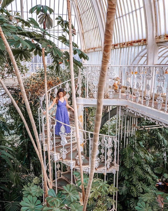 Vườn bách thảo Hoàng gia Kew - Vườn bách thảo đẹp nhất thế giới