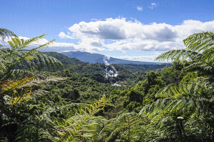 Thung lũng núi lửa Waimangu, Rotorua, New Zealand