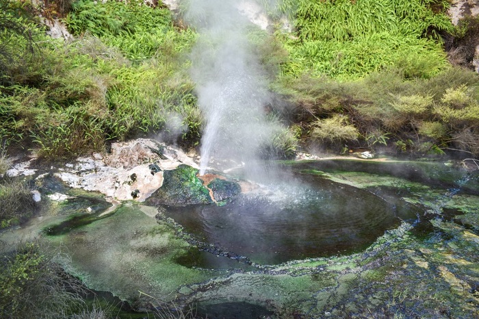Những con suối nhỏ và mạch nước phun - Thung lũng núi lửa Waimangu