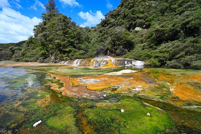 Những vi khuẩn có màu sắc rực rỡ che phủ những tảng đá nóng - Thung lũng núi lửa Waimangu