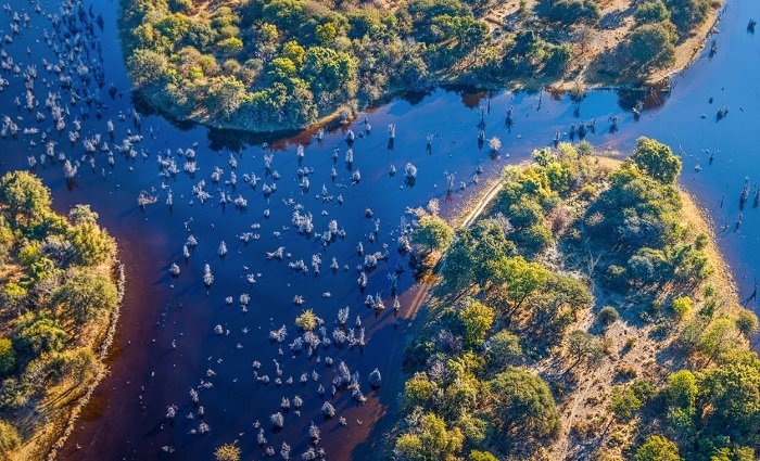 Đồng bằng Okavango ở Botswana