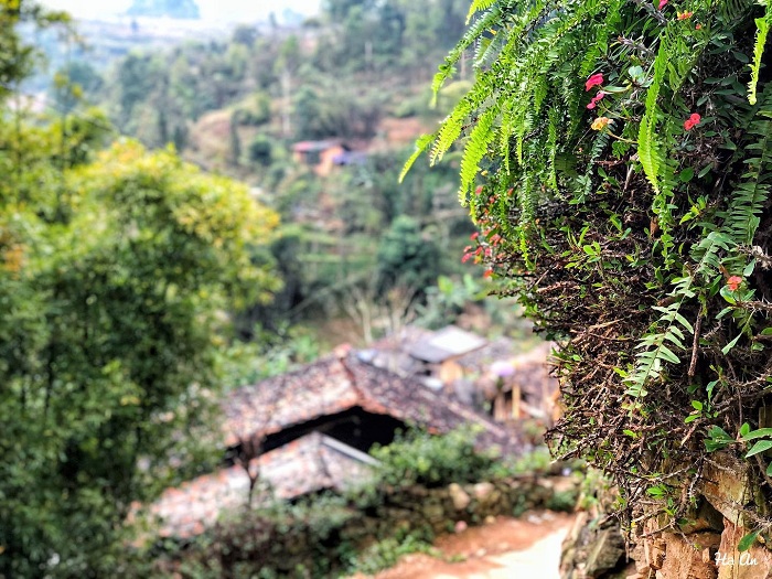 Làng cổ Thiên Hương là bản làng đẹp ở Hà Giang