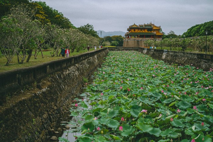 Lotus ponds in Hue