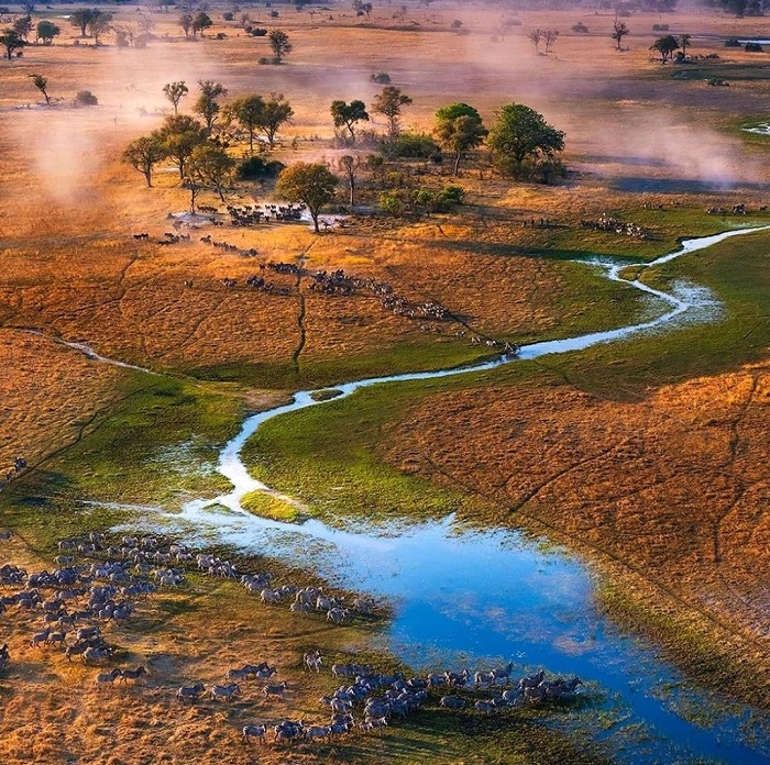 Công viên quốc gia Moremi Game Reserve Đồng bằng Okavango