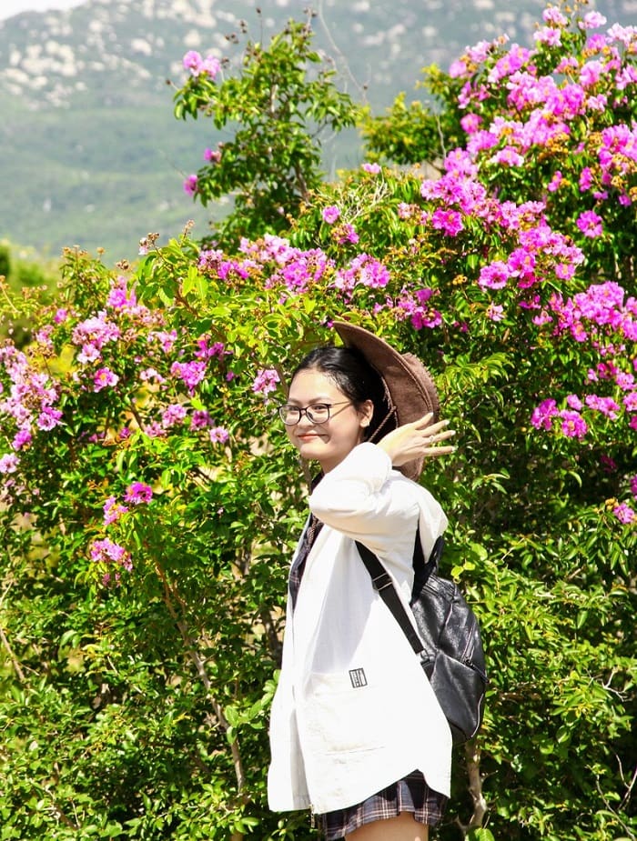 Flower season of Ninh Thuan mausoleum and ideal viewing coordinates 