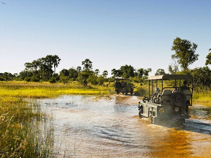 Các tour tham quan đồng bằng được tổ chức theo mùa Đồng bằng Okavango
