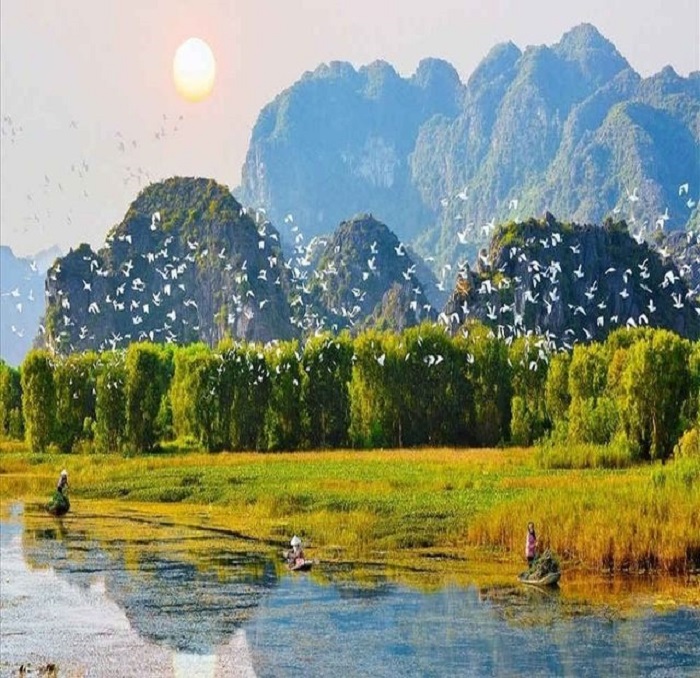 Ninh Binh tourism in June - ripe rice season