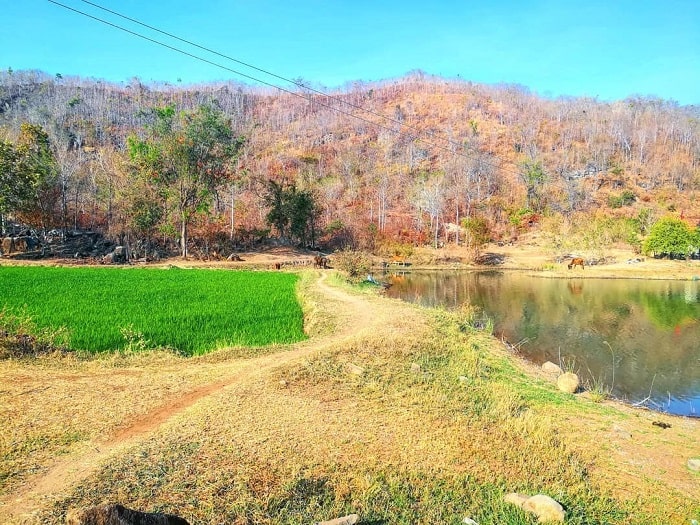 About Quao river lake in Binh Thuan 