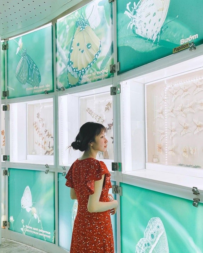 trải nghiệm ở Quảng Ninh - bảo tàng 