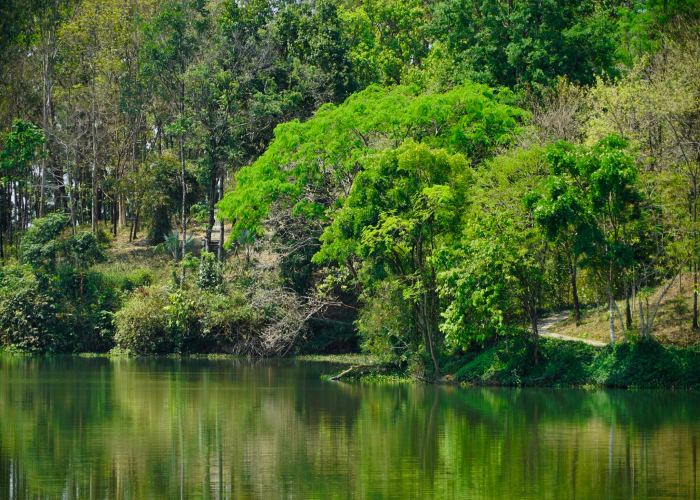 cảnh sắc hồ Trúc Đắk Nông 